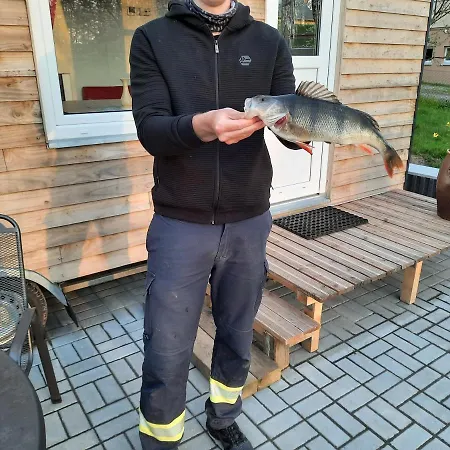 Tiny Haus Am Motzener Semesterbostad Motzen