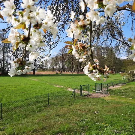 Tiny Haus Am Motzener *