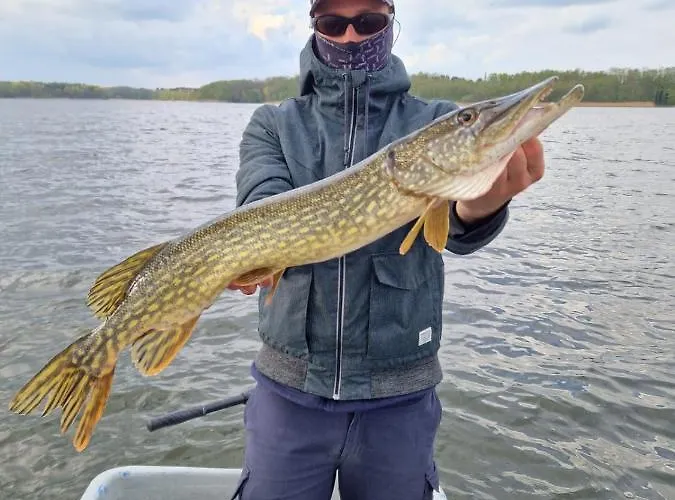 Tiny Haus Am Motzener Holiday home Motzen