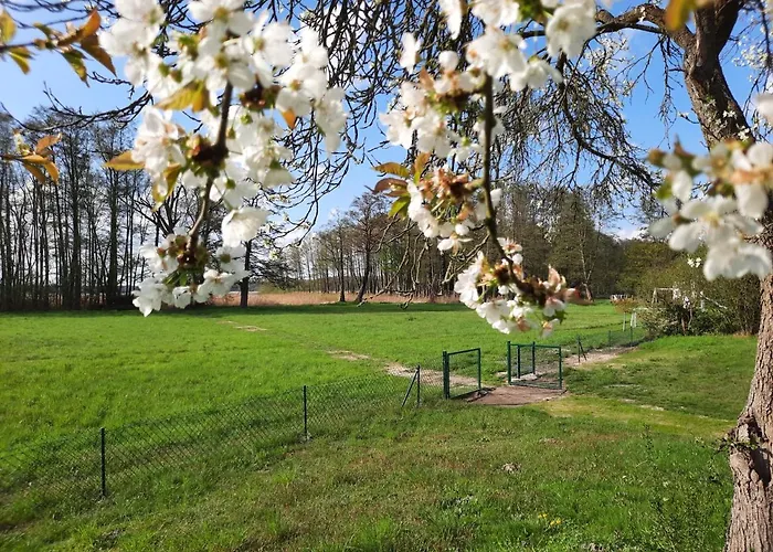 Tiny Haus Am Motzener *